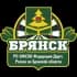 Брянская Федерация Дартс общение