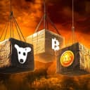 Канал Why NOT? в Telegram
