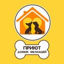Канал Домик Мелкашей - приют для маленьких собак в Telegram
