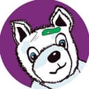 Канал ЭкоВолк в Telegram