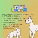 Канал Ветклиника «ВАСИЛЁК» в Telegram