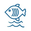 Канал Аквариумная жизнь 🐠 в Telegram