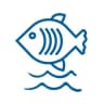 Telegram-канал Аквариумная жизнь 🐠
