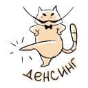 Стикеры Усатый кот в Telegram
