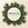 MOEOCC.RU
