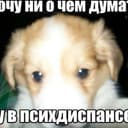 Канал Хлоргексидин 👀 в Telegram