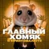 Крипто-Хомяках | Листинг Хамстерах