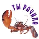 Стикеры ? Раки в Telegram