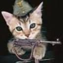 Канал Пишет Бойцовый кот Мурз (kenigtiger) в Telegram