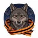 Канал Тамбовский волк в Telegram