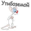 Стикеры Пинки и Брейн в Telegram