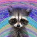 Канал Digital Raccoon в Telegram