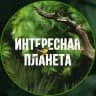 Telegram-канал Интересная планета