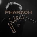 Канал pharaoh.prodd в Telegram