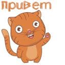 Стикеры Мяу в Telegram