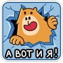 Стикеры Капибара-клипер в Telegram