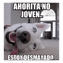 Стикеры ahorita no joven в Telegram