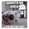 ahorita no joven