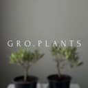 Канал Gro.plants - растения Казань 🌿 в Telegram