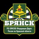 Группа Брянская Федерация Дартс общение в Telegram
