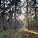 Канал Лучшие отели Подмосковья в Telegram