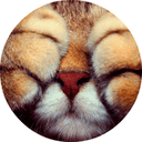 Стикеры catsbySmol2 в Telegram