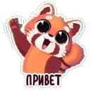 Стикеры Шэн в Telegram