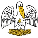 Канал Пеликан. физич.терапия СПб. в Telegram