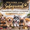 Канал Щенки/Котята продажа/Пиар official🐾 в Telegram