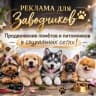 Telegram-канал Щенки/Котята продажа/Пиар official🐾
