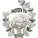 Канал АНО «ЭкологиУМ» в Telegram